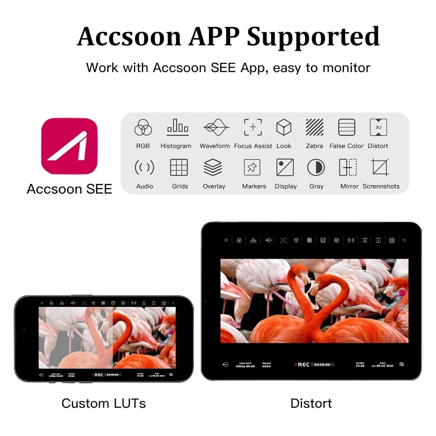 Accsoon SeeMo adattatore di acquisizione video da HDMI a USB C per iPhone