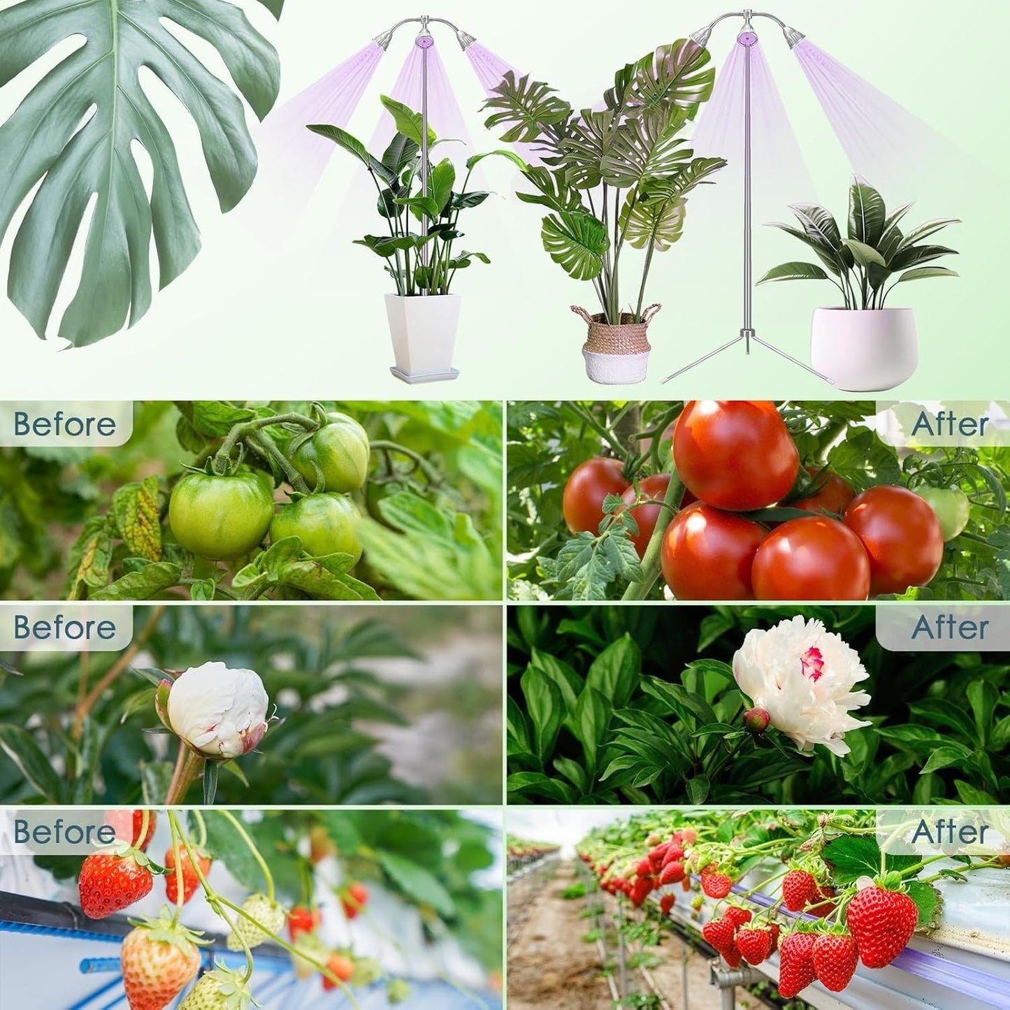 Lampada per la coltivazione di piante a LED per piante a spettro completo a 360°