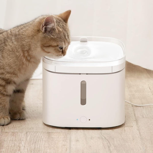 Fontana intelligente per animali domestici cani filtraggio a 4 stadi Smart Home