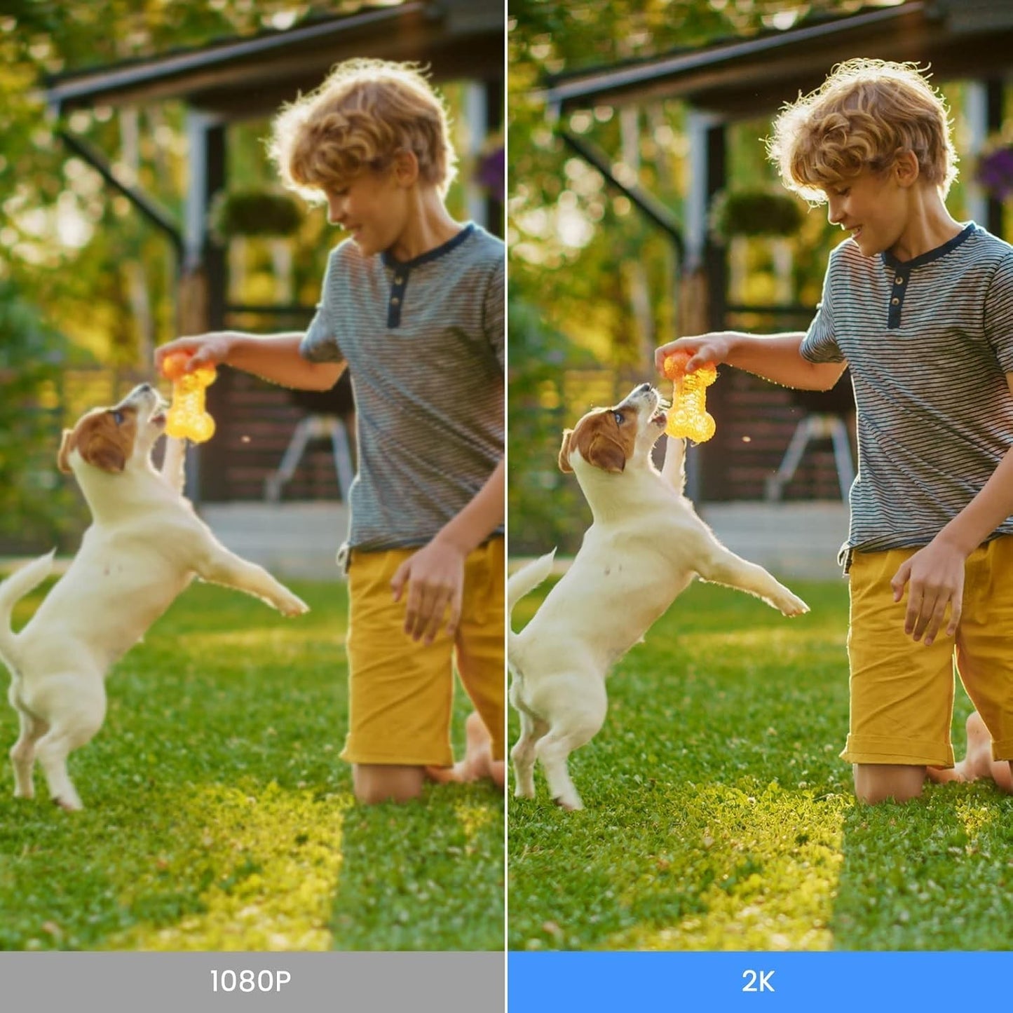 wansview Telecamera Lampadina WiFi Esterno/Interno - 2K Telecamera in base E27 c