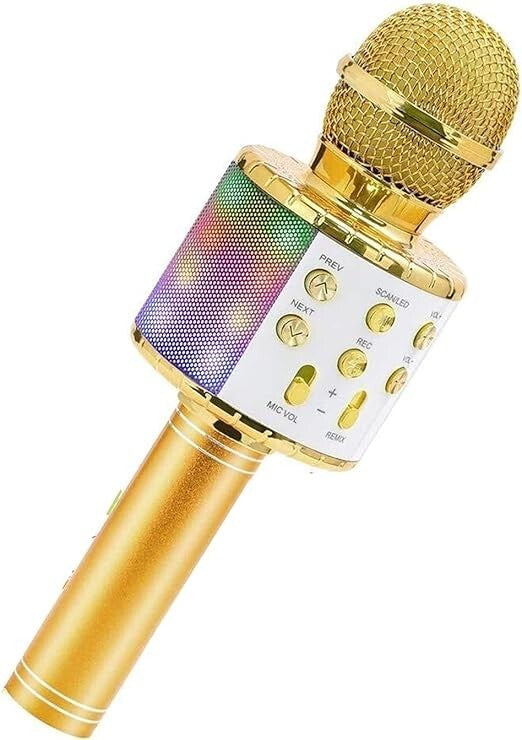 Microfono Wireless per Karaoke Altoparlante Cassa Integrata Bluetooth Portatile