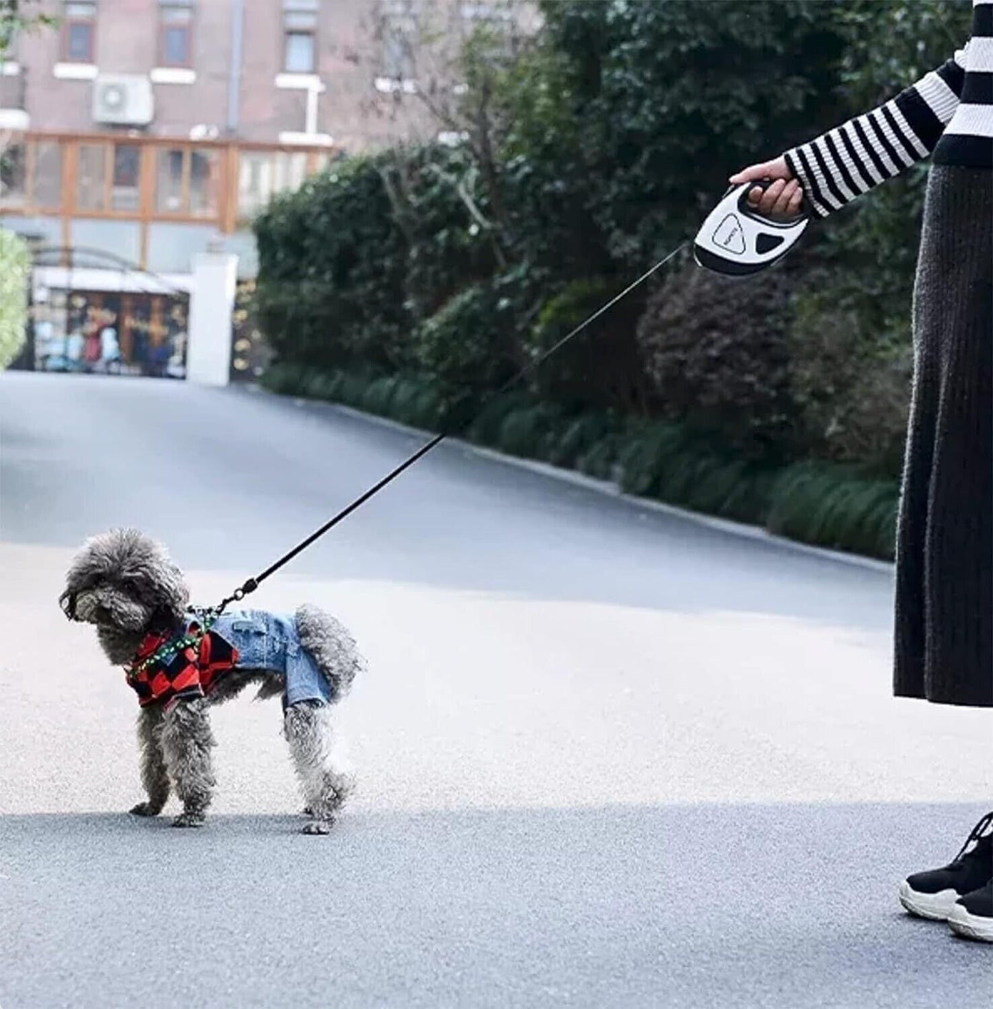 Astorpet  Cinghia estensibile retrattile con luce a LED nastro fle RGVVJ