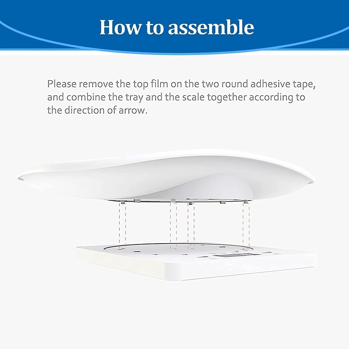 Bilancia per animali domestici, per cuccioli e gattini, misura piccoli animali