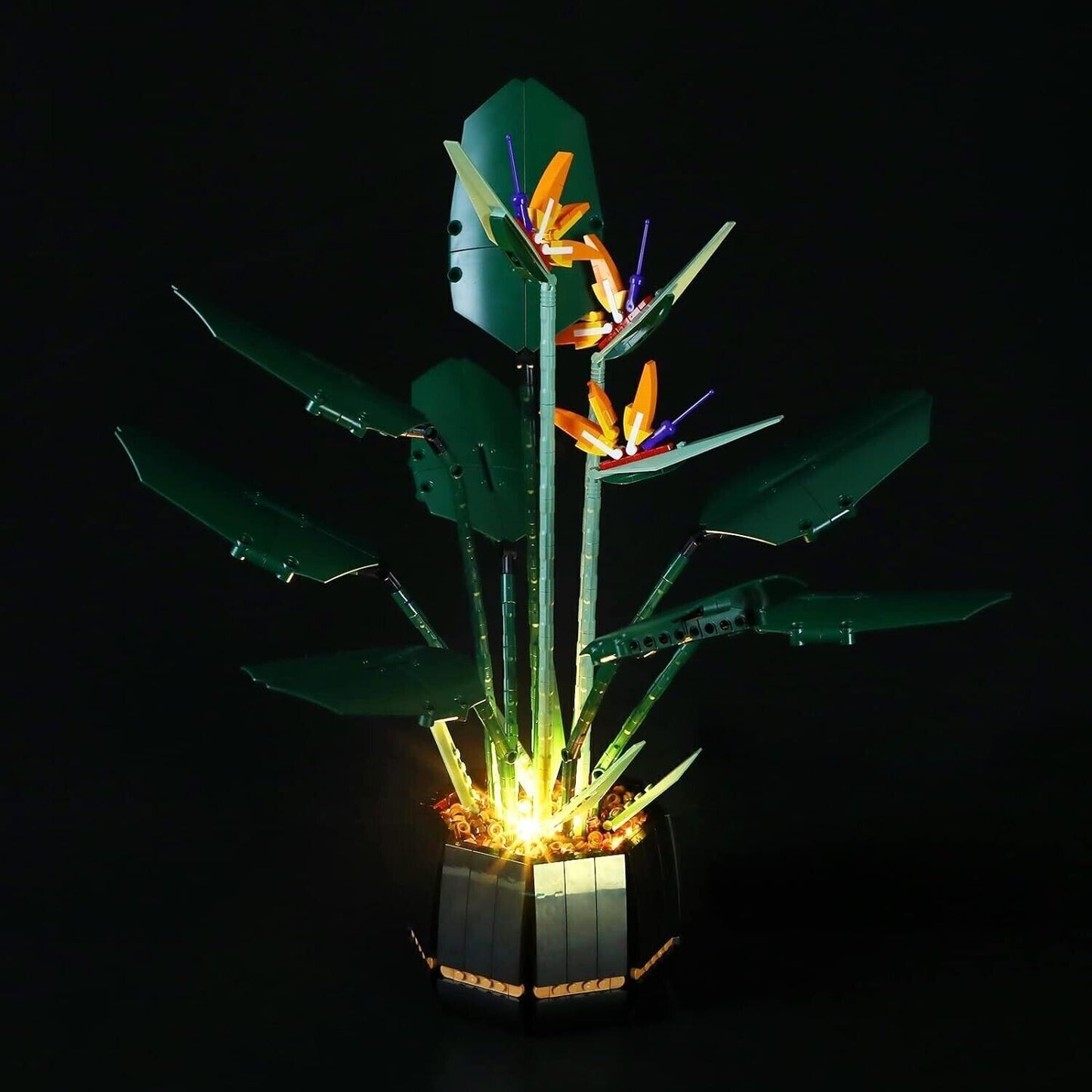 YEABRICKS Kit Luci a LED per Lego 10289 Creator Bird of Paradise Modello