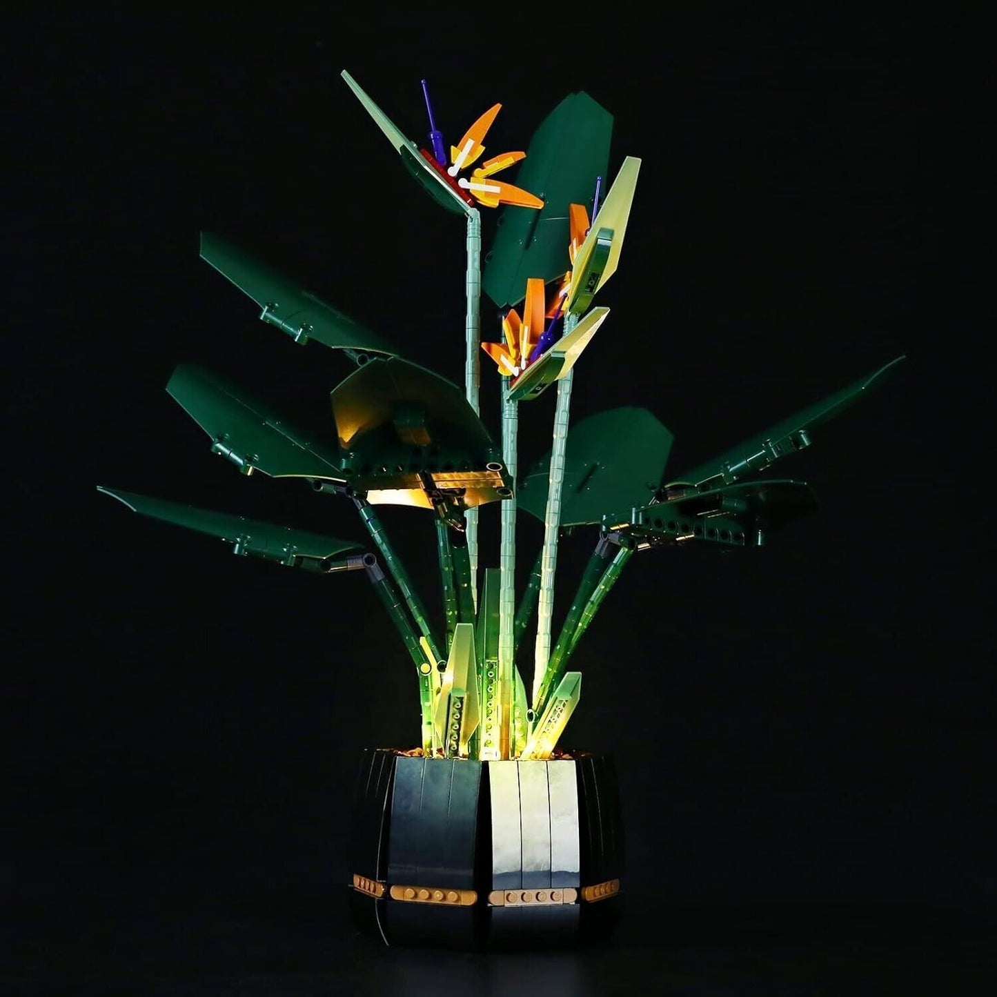 YEABRICKS Kit Luci a LED per Lego 10289 Creator Bird of Paradise Modello