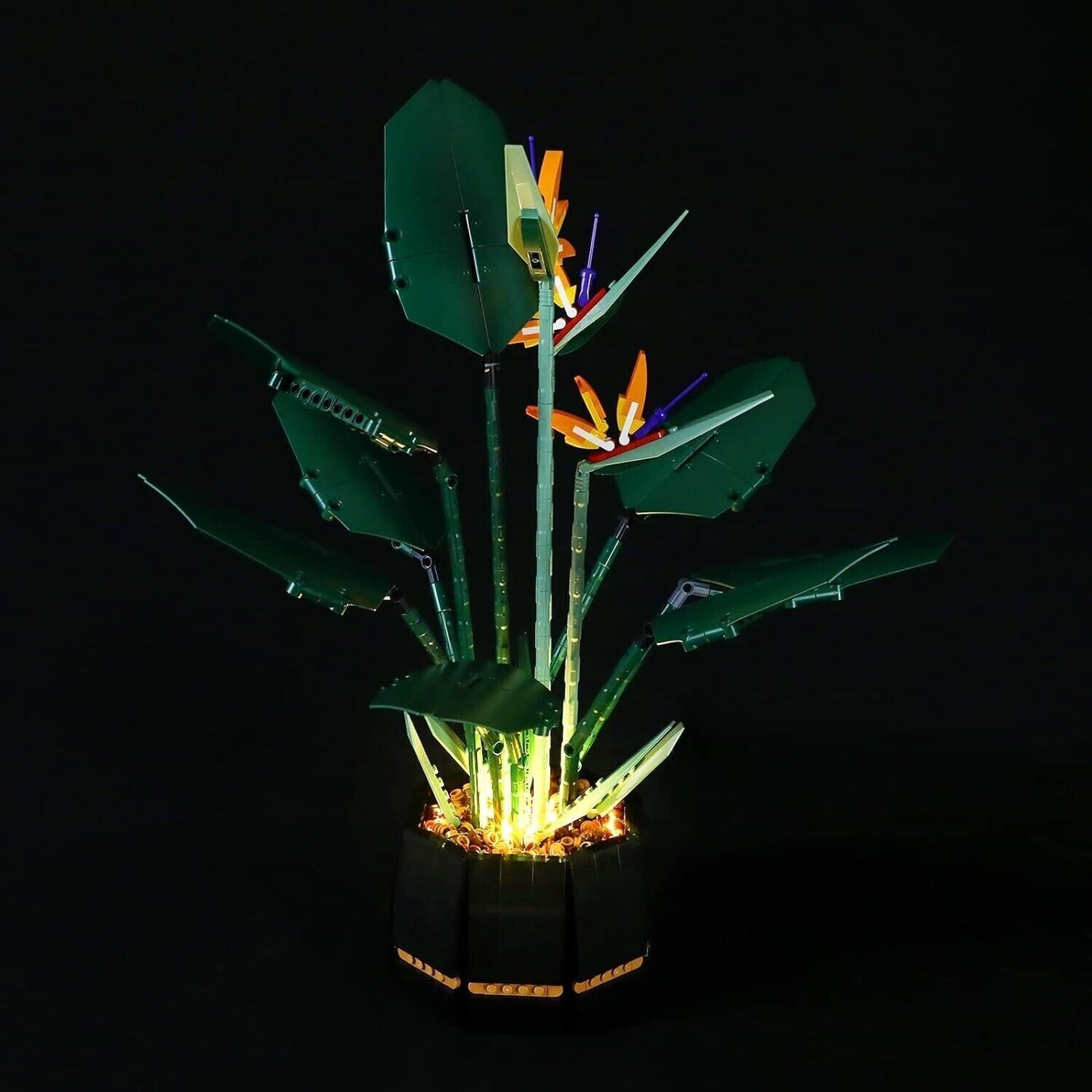 YEABRICKS Kit Luci a LED per Lego 10289 Creator Bird of Paradise Modello