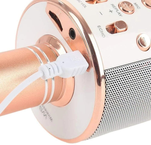Microfono Wireless per Karaoke Altoparlante Cassa Integrata Bluetooth Portatile