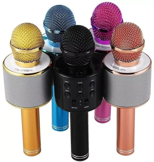 Microfono Wireless per Karaoke Altoparlante Cassa Integrata Bluetooth Portatile