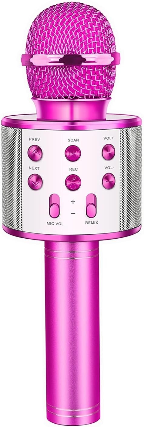 Microfono Wireless pink WS-858 Altoparlante Cassa Integrata Bluetooth Portatile