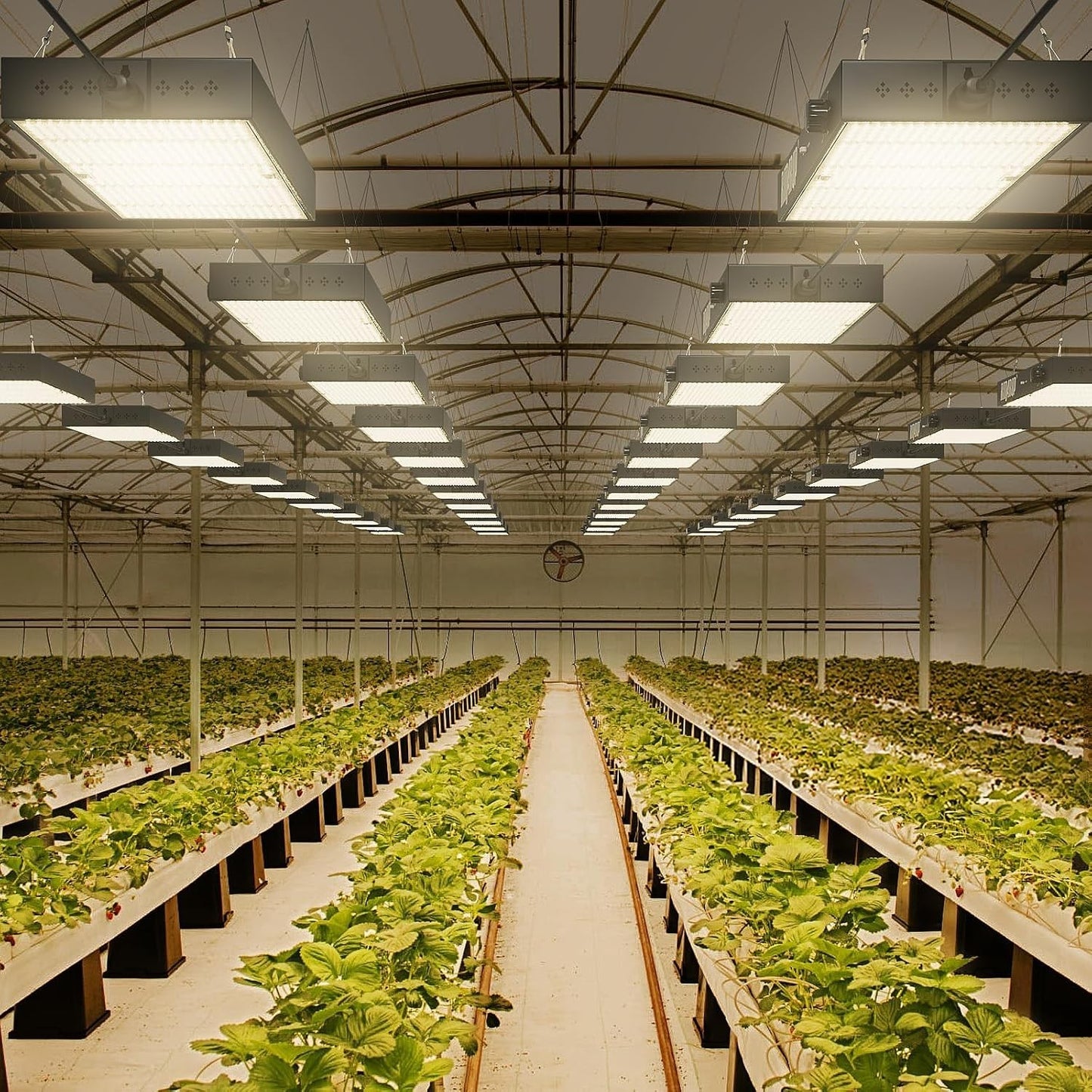 Lampada da coltivazione a LED da 2000 W con luce per piante a LED UV IR 0-10 V