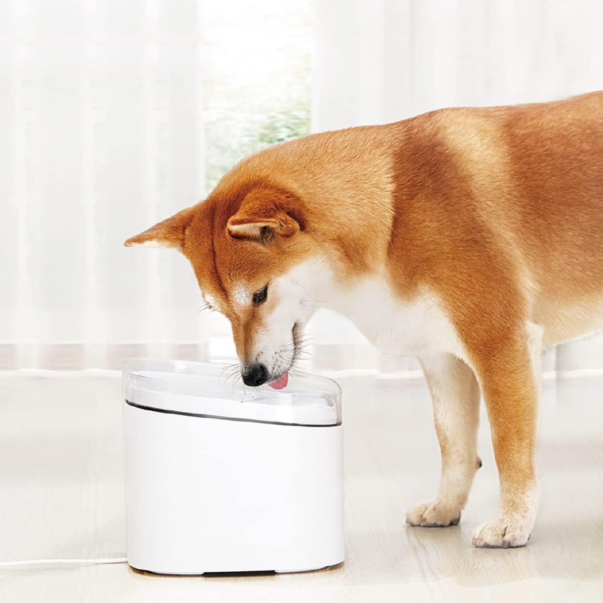 Fontana intelligente per animali domestici cani filtraggio a 4 stadi Smart Home