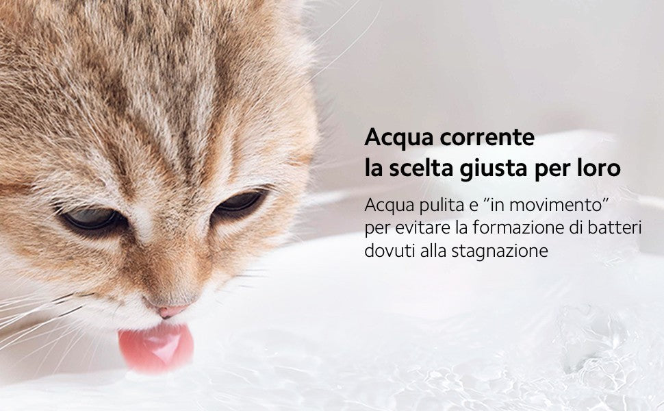 Fontana intelligente per animali domestici cani filtraggio a 4 stadi Smart Home