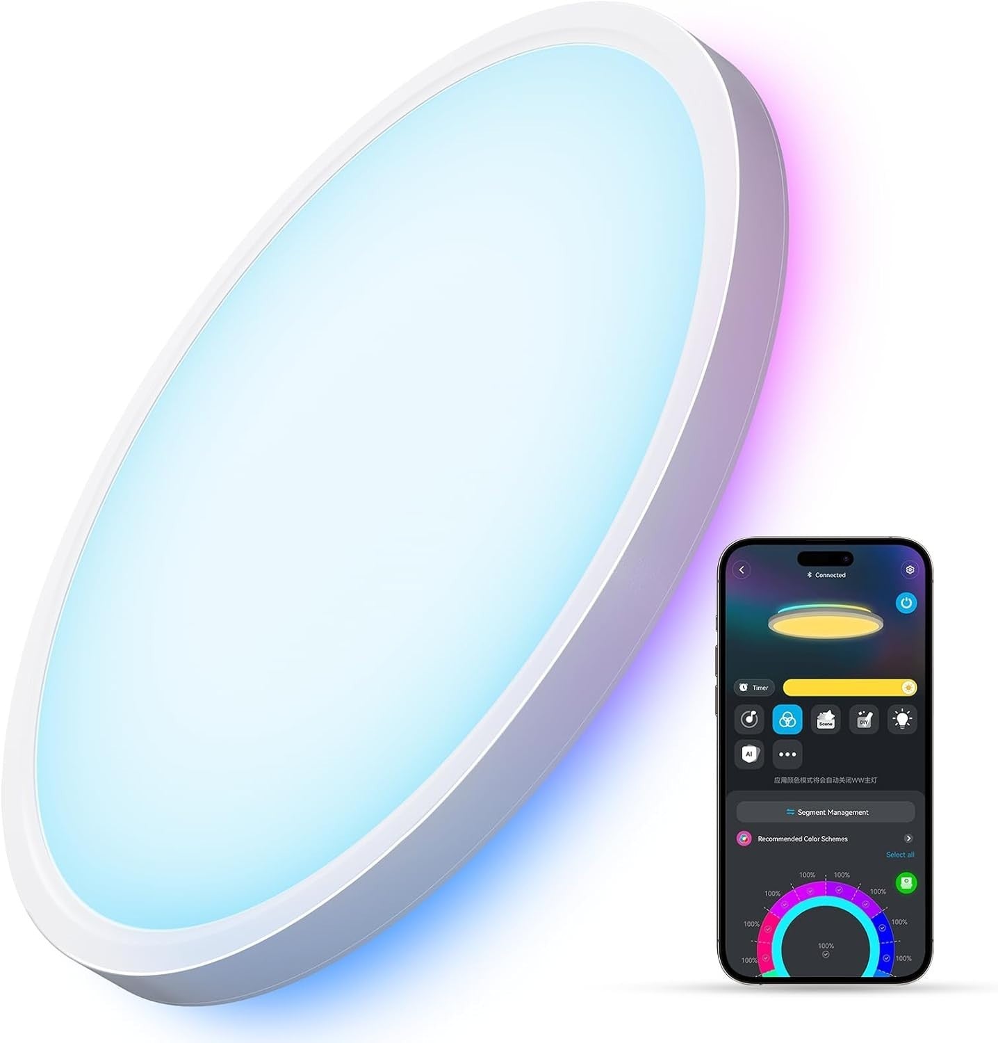 Plafoniera intelligente Govee LED RGBIC a filo 2400LM 12 pollici 2200K-6500K