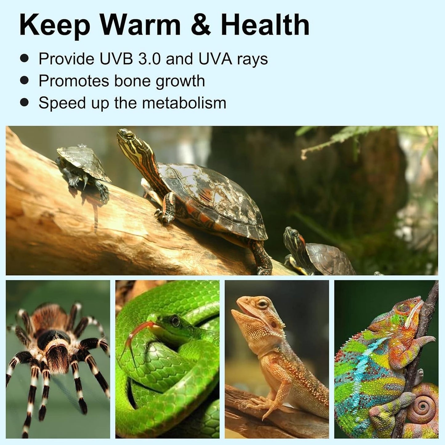 Lampada riscaldante per rettili per acquario con lampadine da 25 W + 50 W