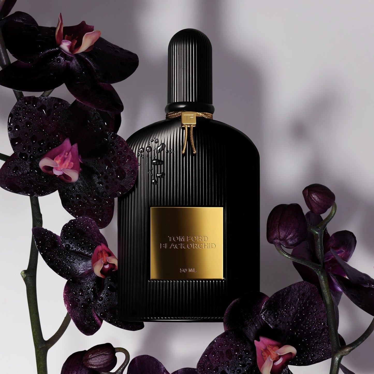 Tom Ford Black Orchid per Donna 100ml Eau de Parfum Spray