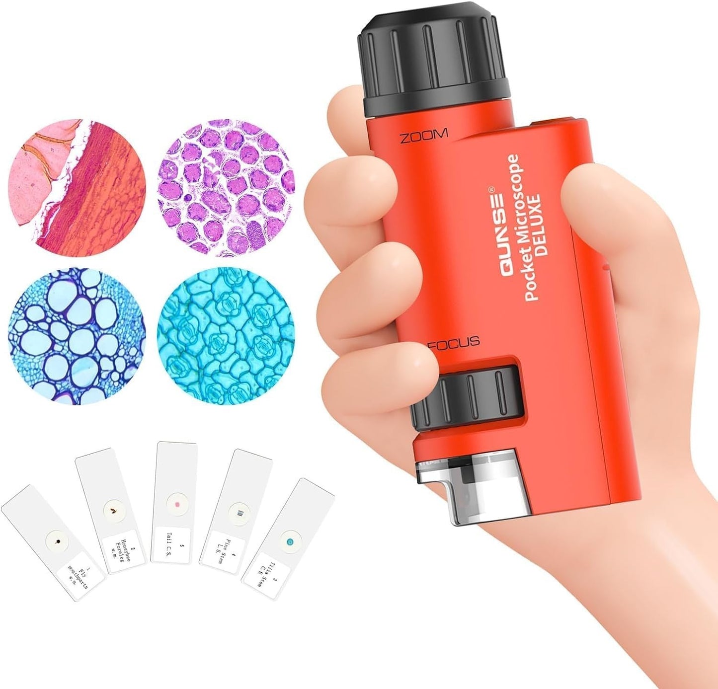 Microscopio Tascabile Bambini 60X-120X LED Mini Portatile 5 Vetrini Regalo Lenti