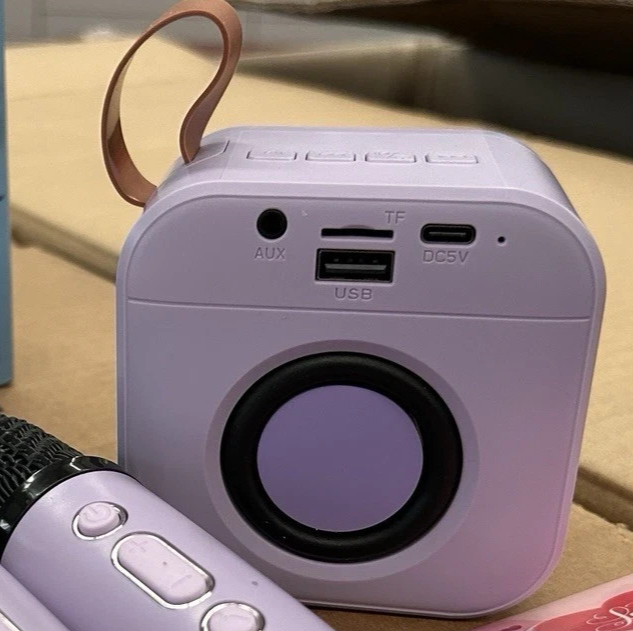 Karaoke Bambini 2 Microfoni Senza Fili Luci LED Cambio Voce Rosa USB 2600mAh 8cm